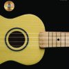 Hal Leonard Ukulele Method w/Weblink