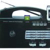 Quantum AM FM SW SD USB Inputs Flashlite