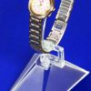 Clear Adjustable Watch Display