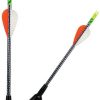 AMMOTENNA 9inch Carbon Fiber Arrow
