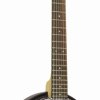 GT Composite Back Banjitar