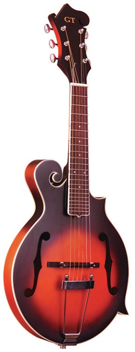 GT 6 String F-Style Mandolin