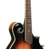 GT Solid Top F-Style Mandolin