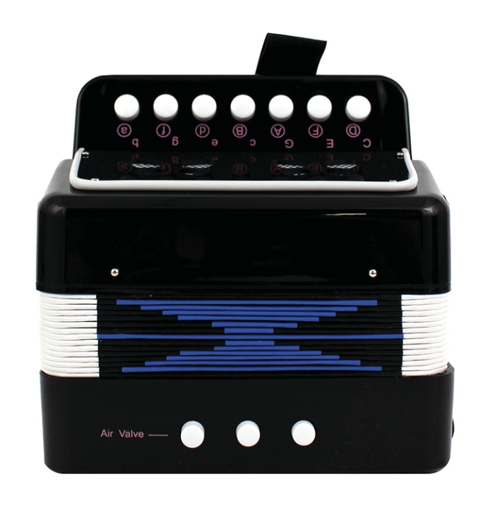 Accordion Child Size Black