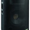Pylepro 2-Way 10in Pro Cabinet  1