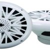 Pyle 6X9 in 260 W 2 Way Marine  Speaker