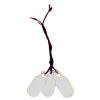 String Tags White Box Of 1000