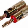 Gold Banana  Plugs 1-Pair